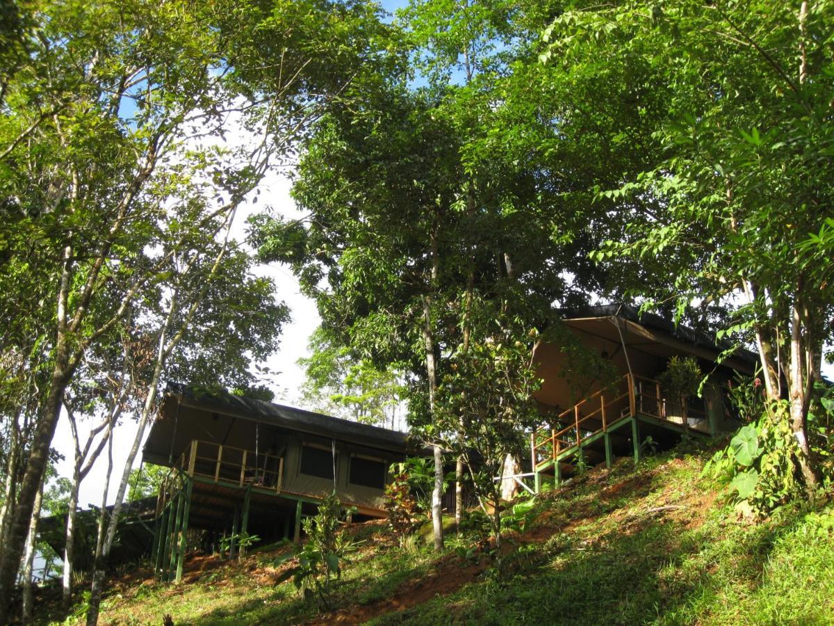 Rio Tico Safari Lodge Punta Mala Exterior photo